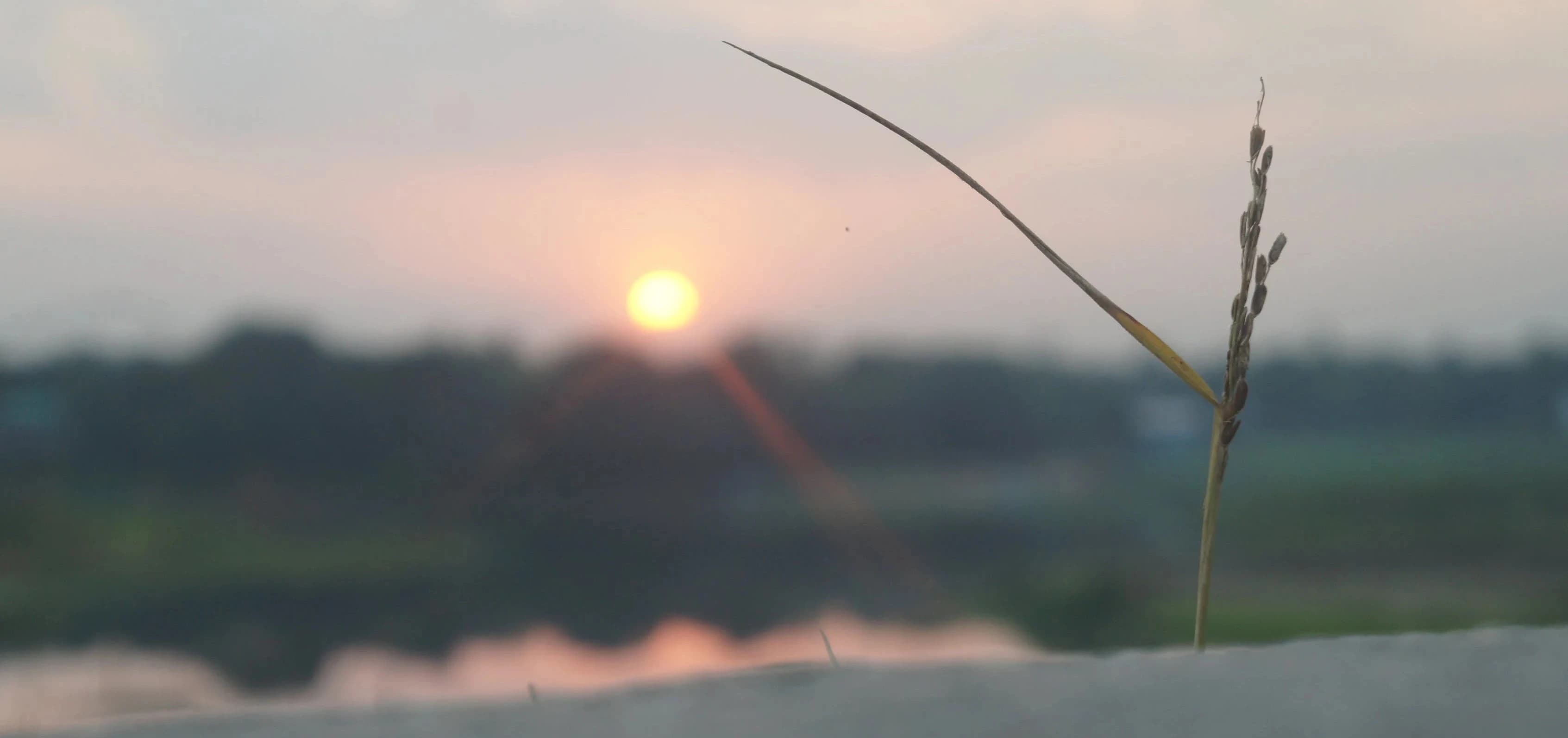 Home Page Background Image