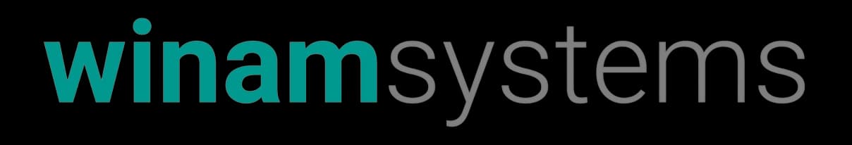Winam Systems Logo